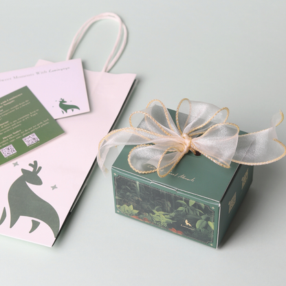 Luminyoyo Gift Box Nougat Taster